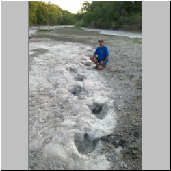 102_6587 (2013-08-10)m.JPG